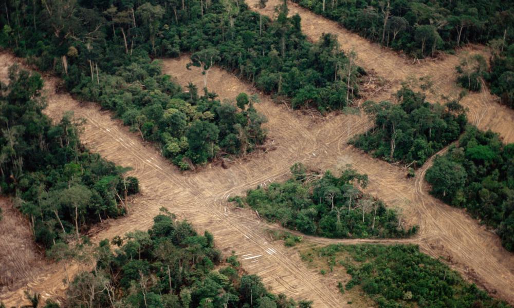 Area of deforestation