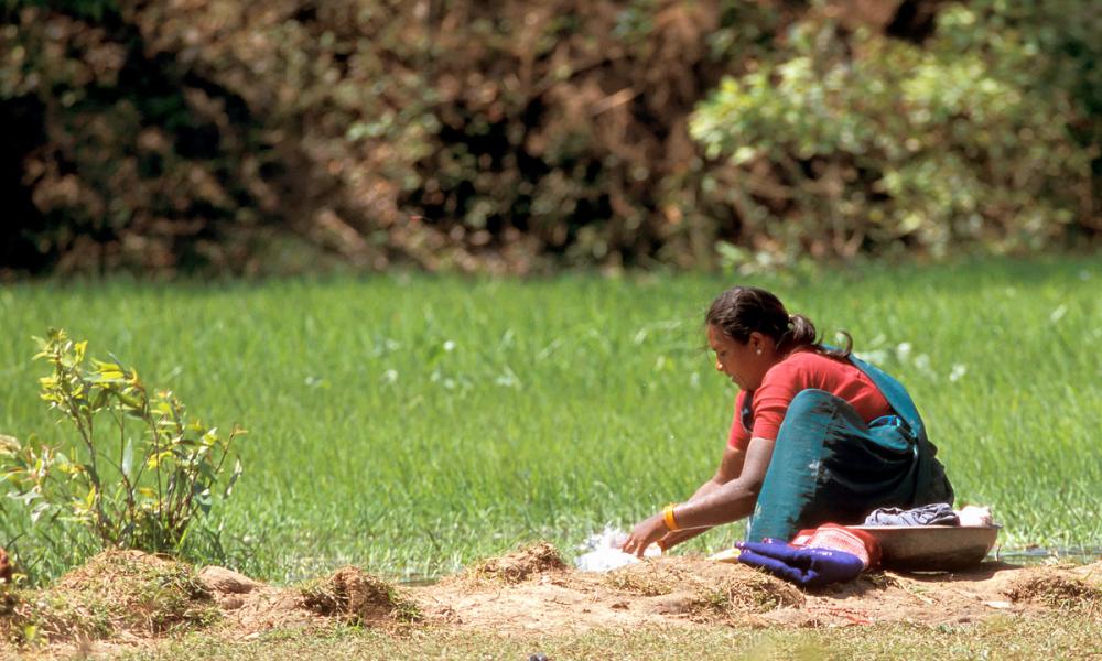 Woman doing her washing in a small stream. Bandhavgarh, Madhya Pradesh, India