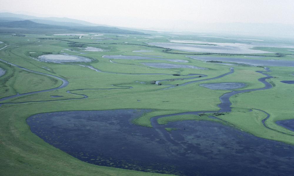 Floodplains of the Amur river. Aerial view. Siberia, Russian Federation.