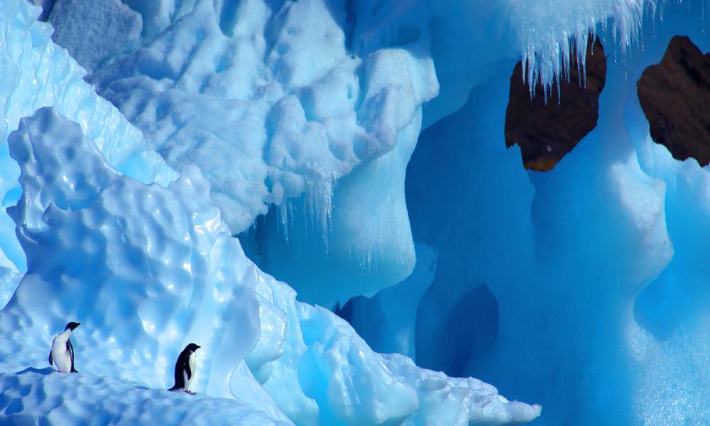 Two Adelie Penguins (Pygoscelis adeliae) on iceberg, Antarctica