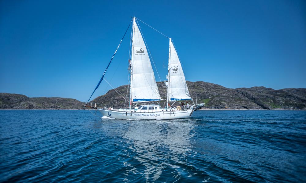 WWF branded boat in Scottish seas