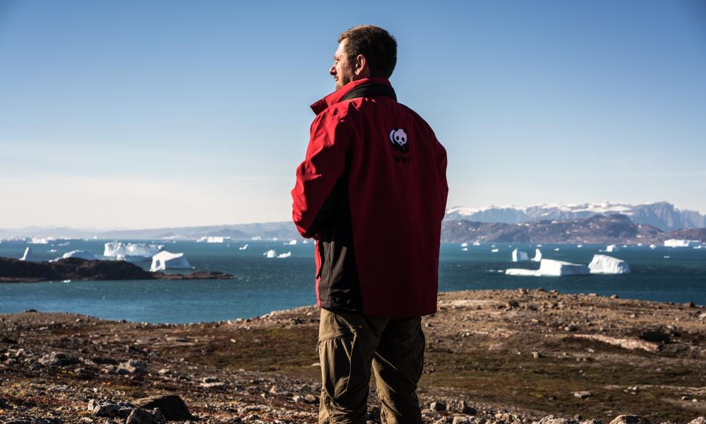 Make way for the Arctic's mighty mammal