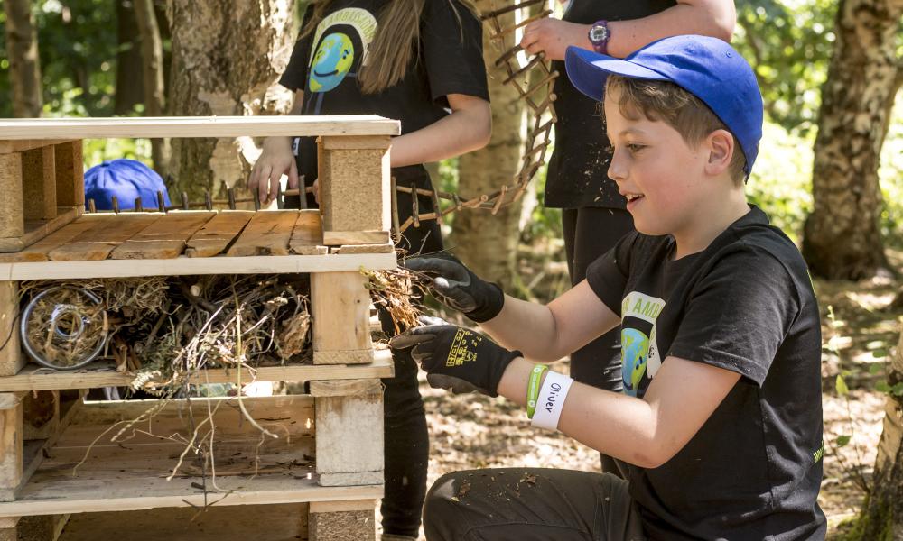 Make a bug hotel