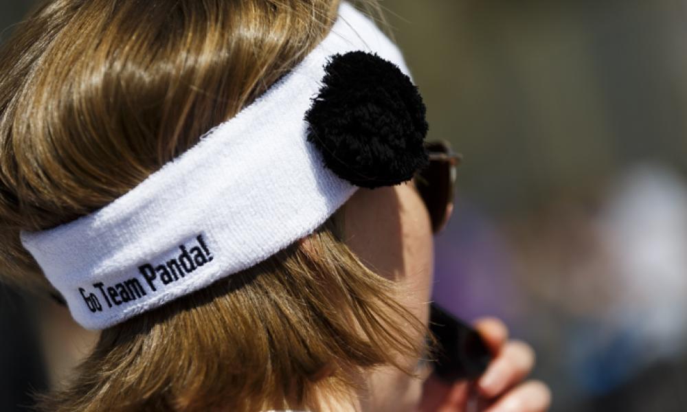 Team Panda volunteer