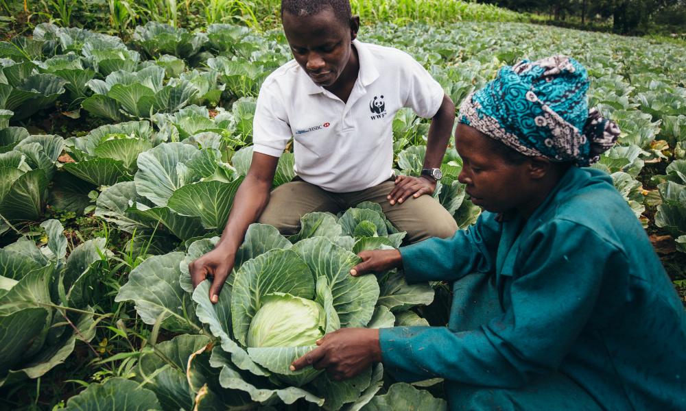 Nancy Rono, Farmer, with Kennedy Onyango, WWF-Kenya, on Nancy's farm. Bomet County, Mara River Upper Catchment, Kenya.