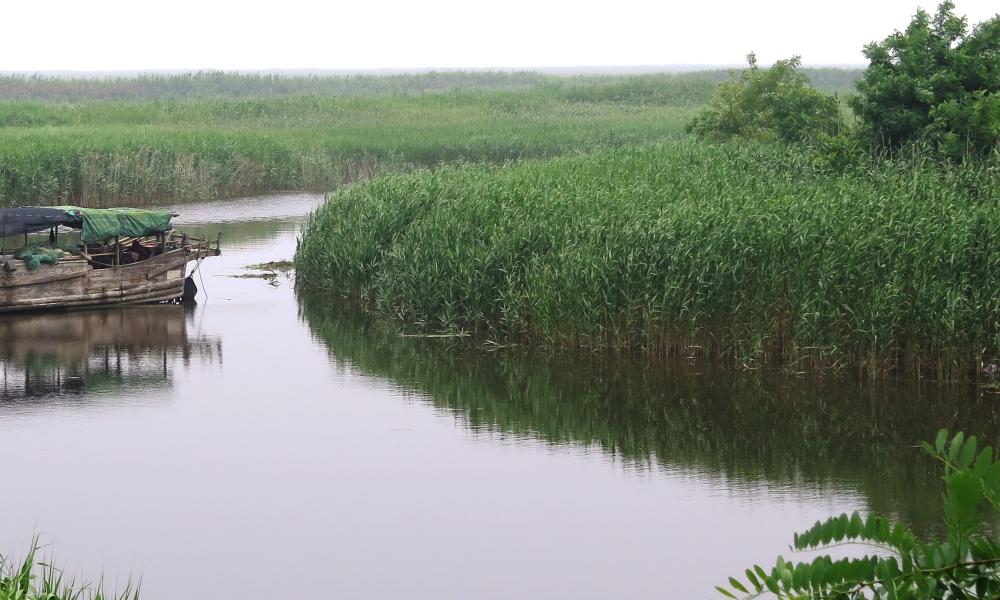 Crayfish river