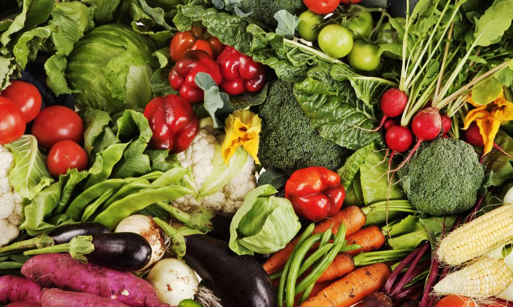Collection of freshly picked vegetables. South Africa.