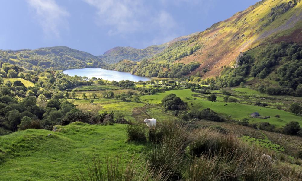 Llyn Gwynant, Snowdonia National Park, Wales