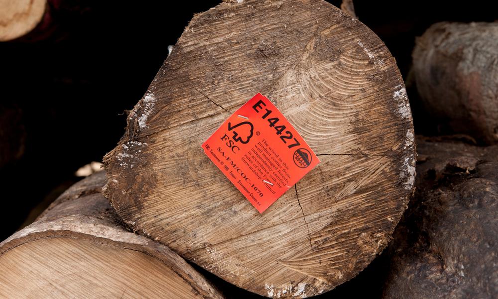 Harvested logs from Kolombangara Forest Products Limited a certified FSC Forest Stewardship Council timber plantation.