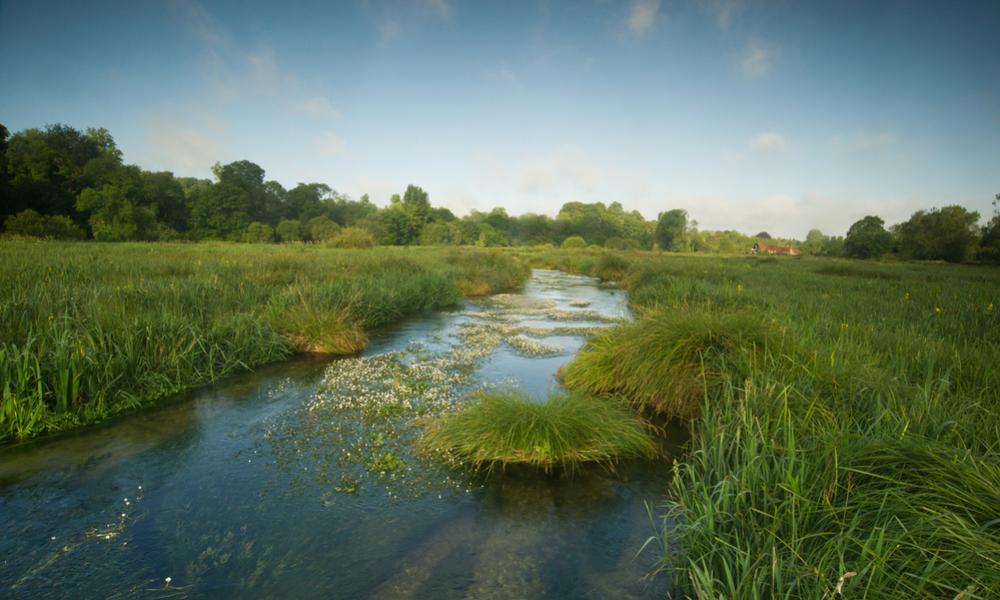 The River Itchen winds its way through the Hampshire countryside.