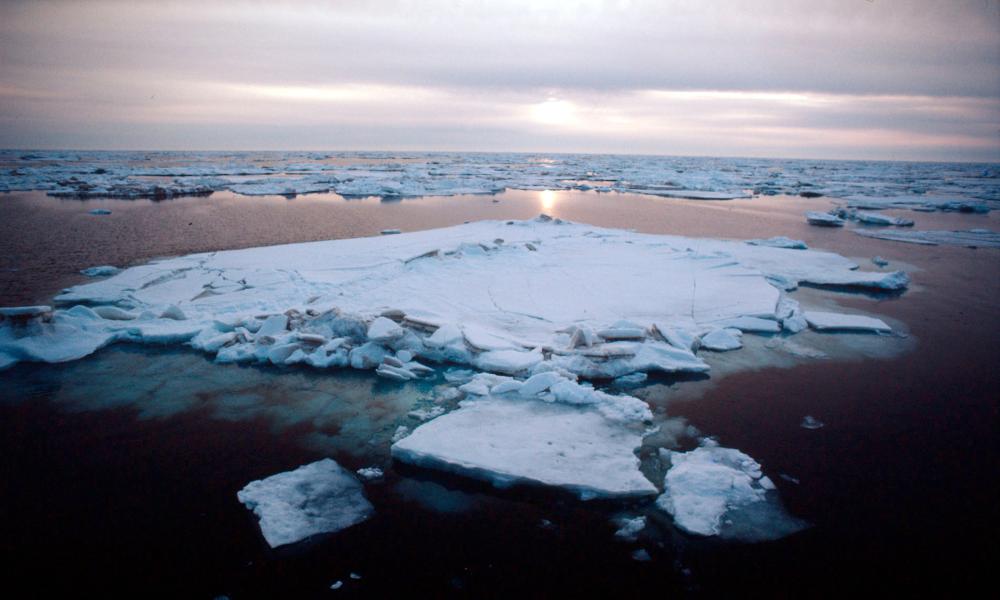 Arctic