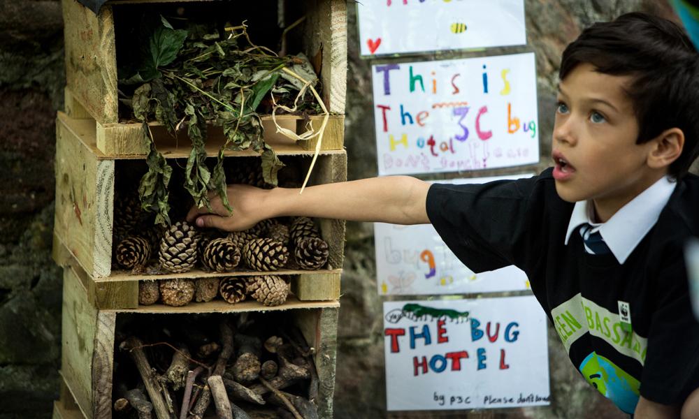 George Heriot School Green Ambassador 2017 © Jonathan Ellenor Imaging / WWF-UK