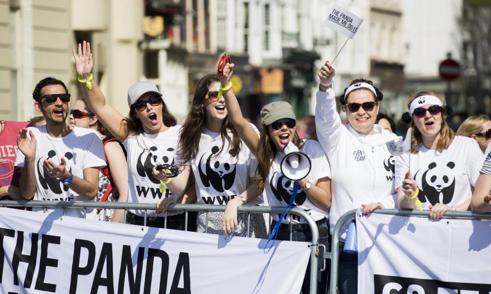 Volunteer for Team Panda