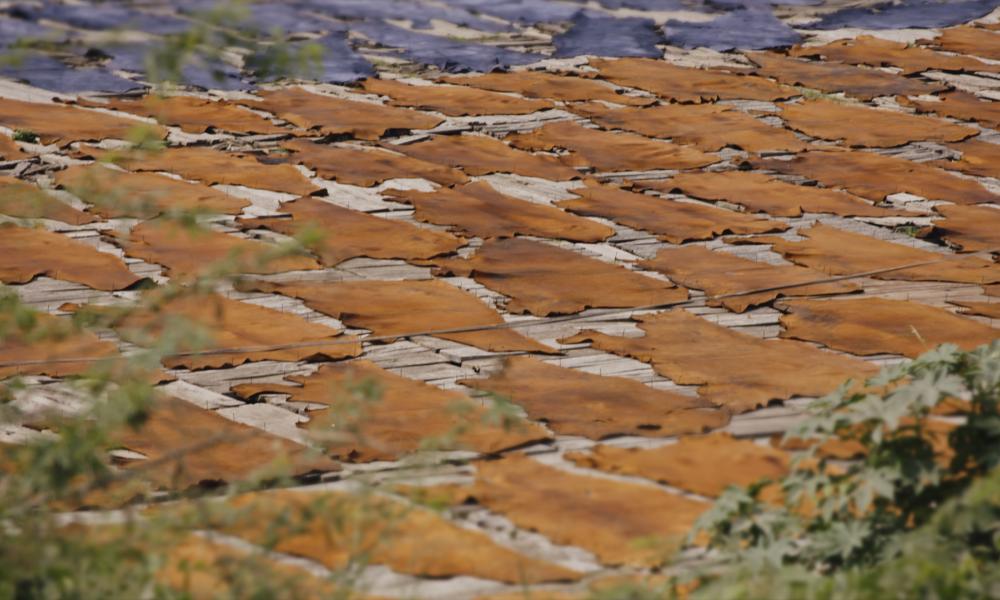 Leather drying in India