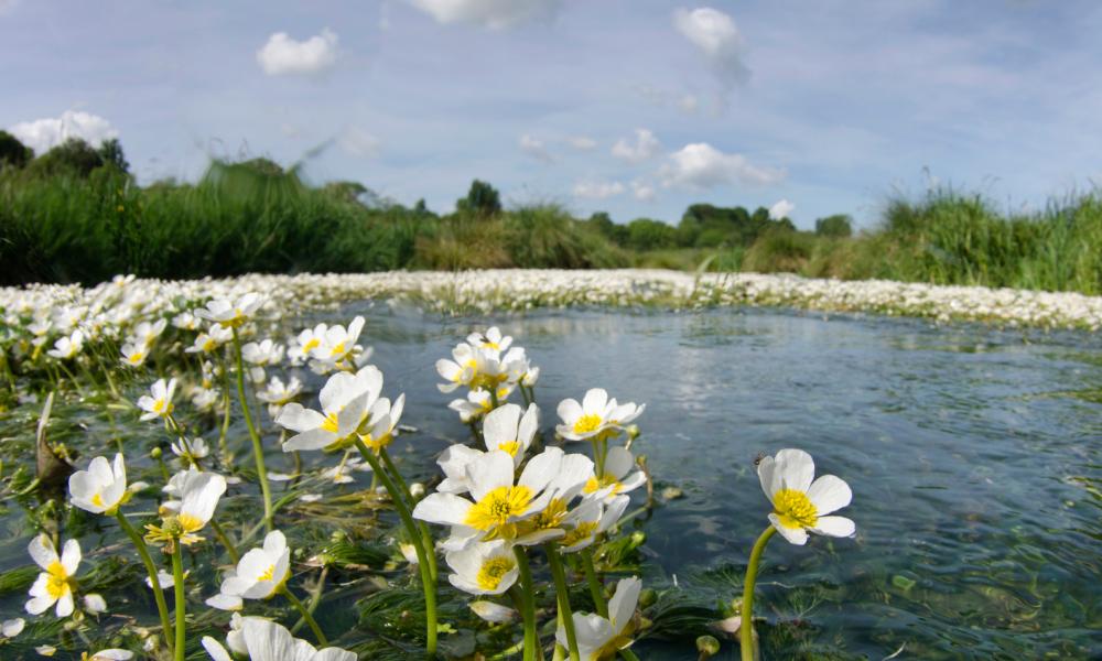 Thames Path Challenge