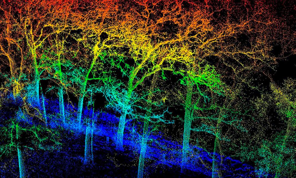 Lidar image