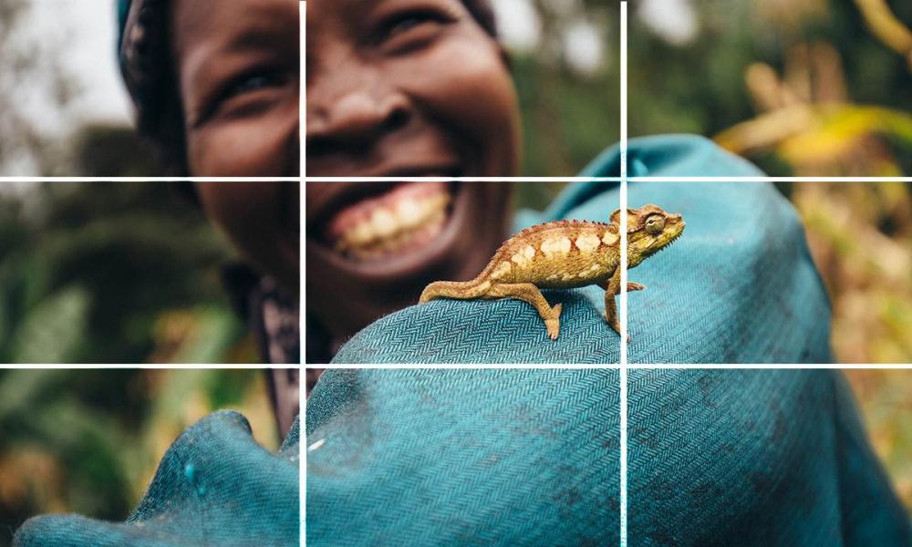Rule of Thirds