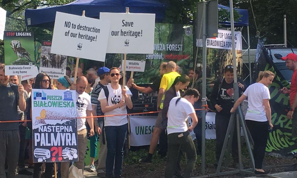 WWF supporters protest about logging in Bialowieza Forest
