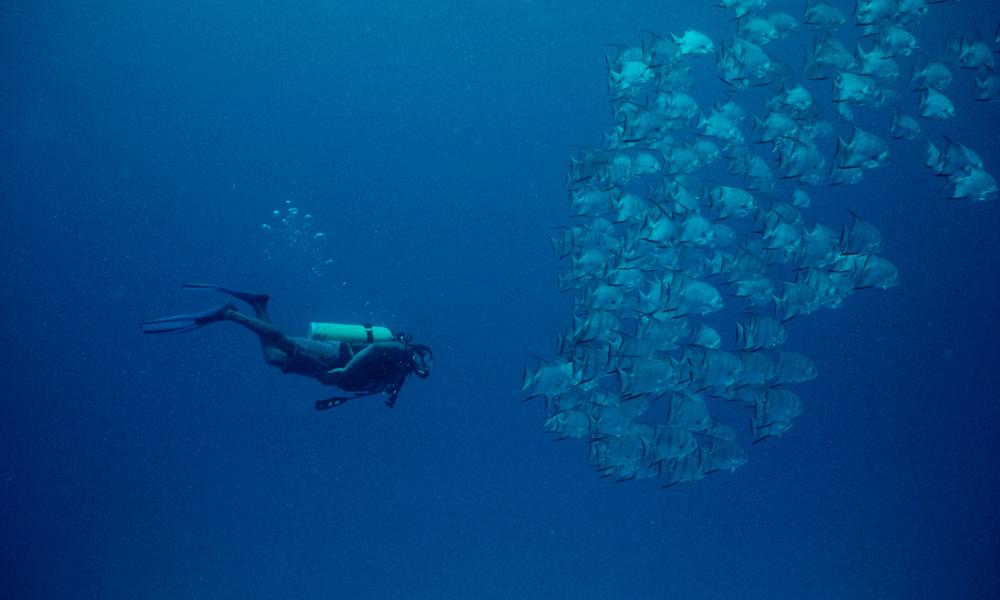 Diving in Belize