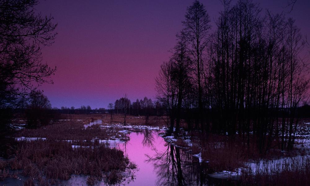 Narewka River in the morning fog, in winter, Bialowieza National Park - © Sanchez & Lope / WWF
