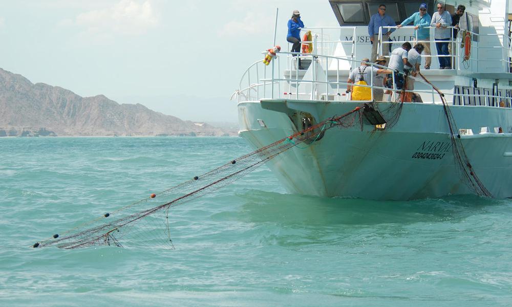 Local fisherman retrieving abandoned or lost “ghost” nets in the Upper Gulf of California - © WWF-US / Gustavo Ybarra