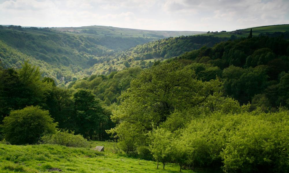 Much To Do In Strengthening New Environment Laws Wwf