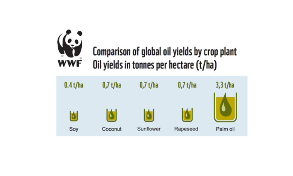 Comparison of global oil yields in tonnes per hectare © WWF-Germany report, Searching for Alternatives