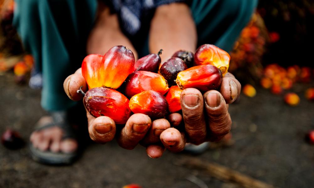 palm oil