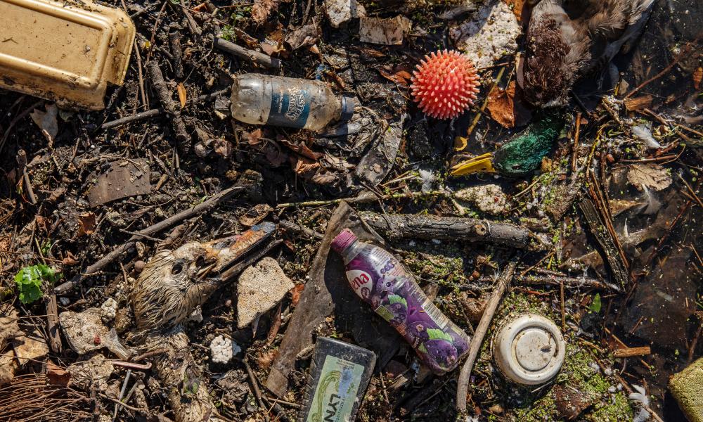 Plastic pollution © Sam Hobson