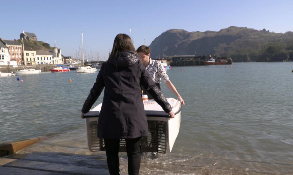 WasteShark being launched into sea