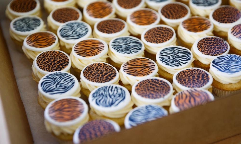 Make some cakes for Wear it Wild