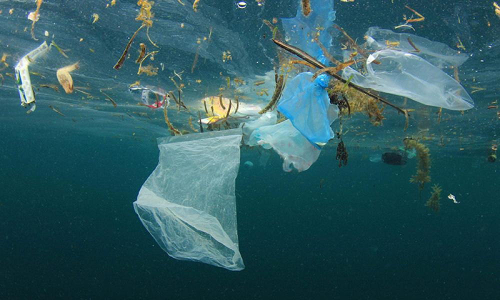 Plastic Pollution in the Ocean