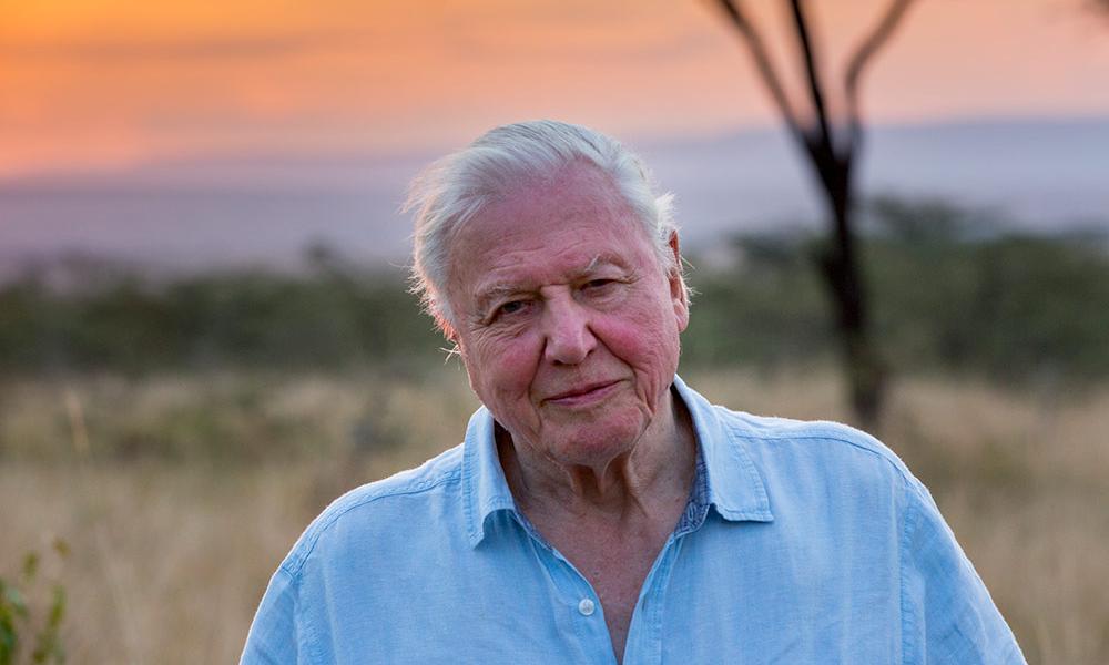 David Attenborough