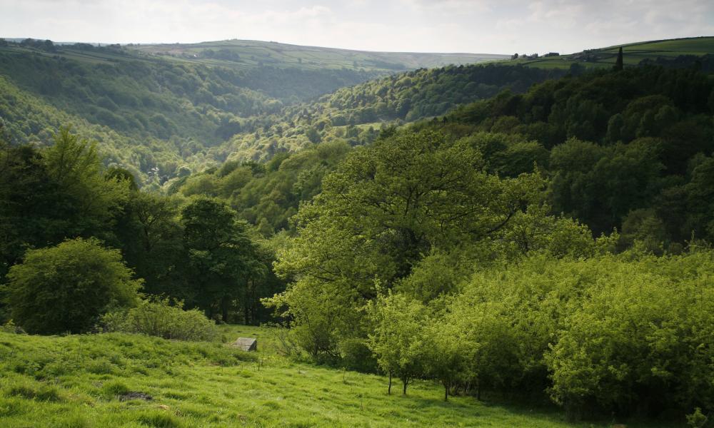 UK Countryside