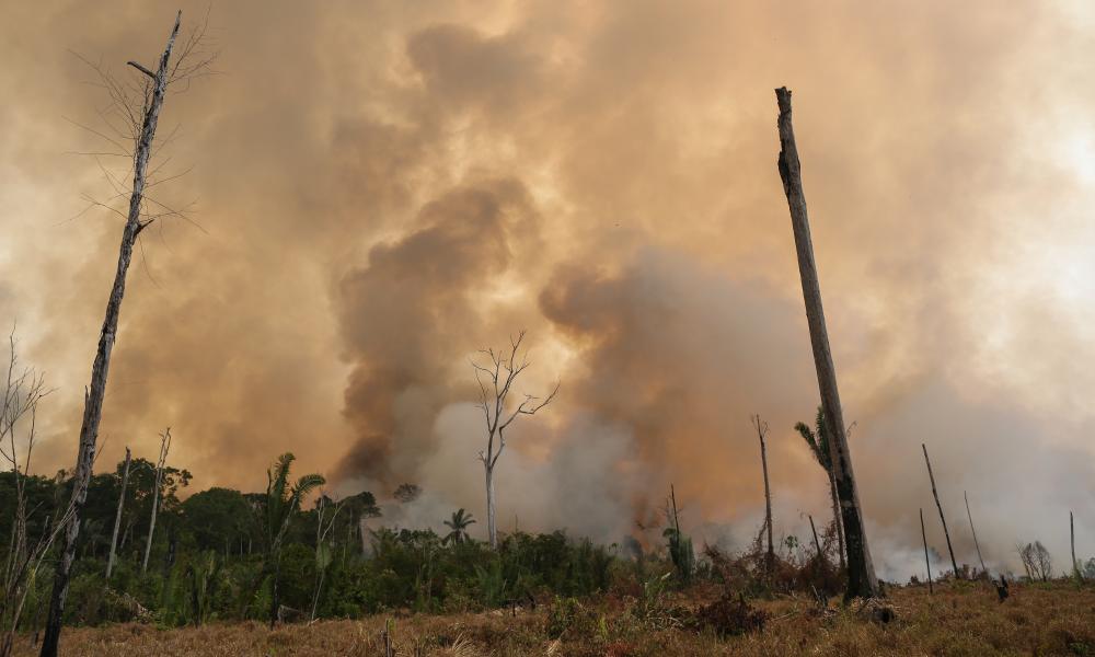 Amazon fires destruction