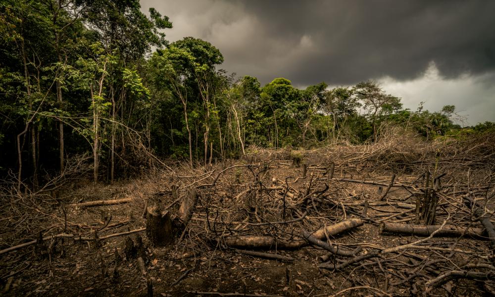 Deforestation in the Amazon © Luis Barreto