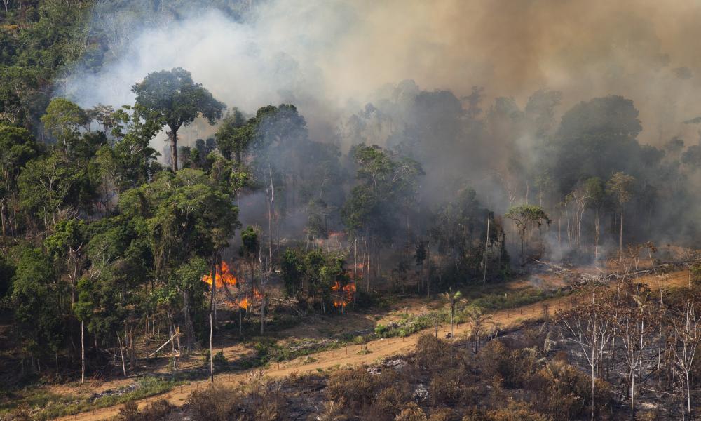 Fires in Brazil - region of Pará and northern Mato Grosso