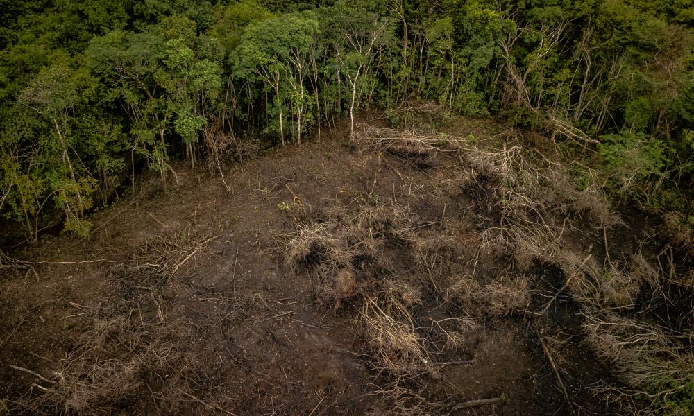 Amazon deforestation, Colombia.