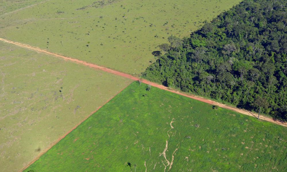 Aerial view of farming in the Alta Floresta municipality