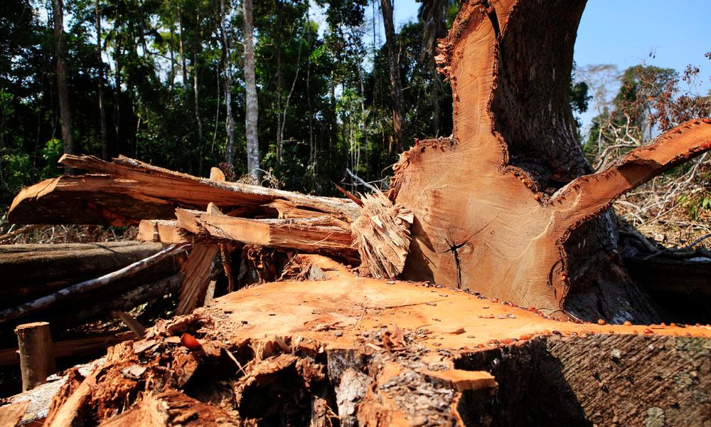 Deforestation in the Amazon rainforest, Feijo, Acre state, Brazil.