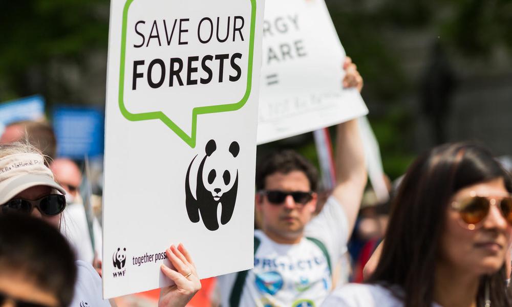 Participants of the Peoples Climate March in Washington, DC.