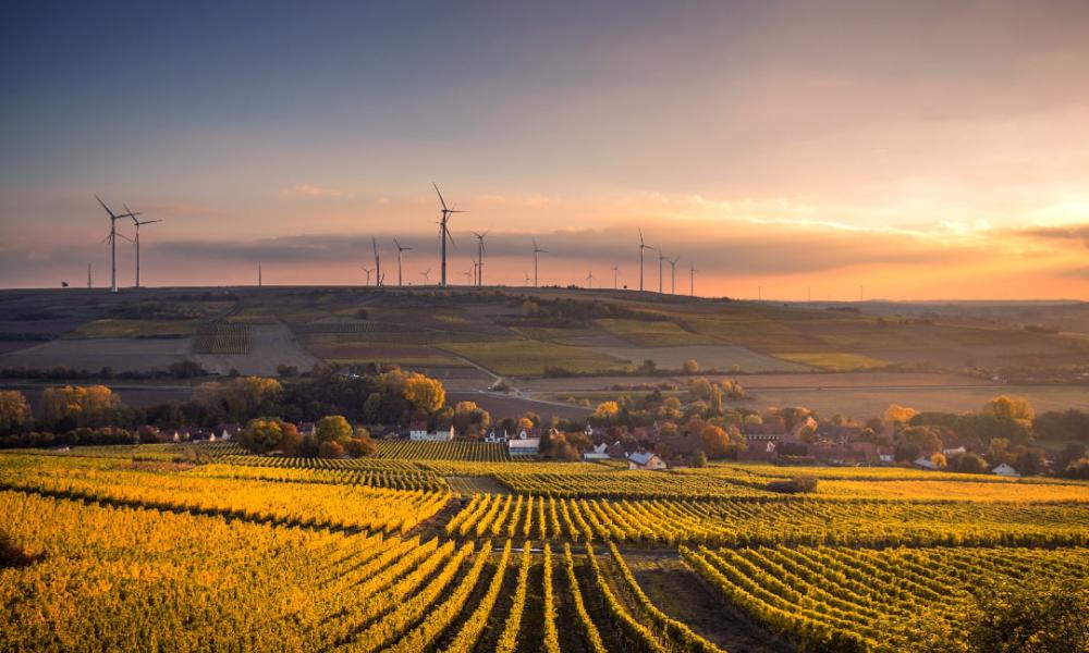 Why we work on sustainable finance