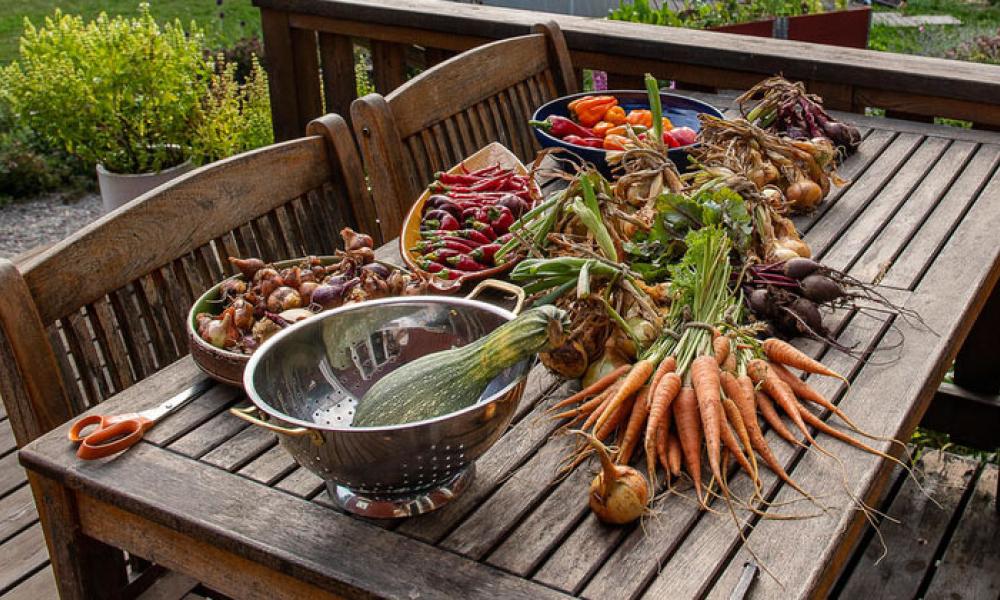 Eat sustainably
