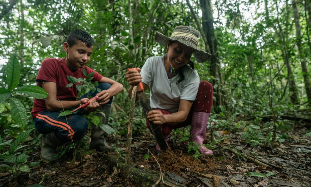 Marisela and her son plant a new tree in a forested area of the family farm