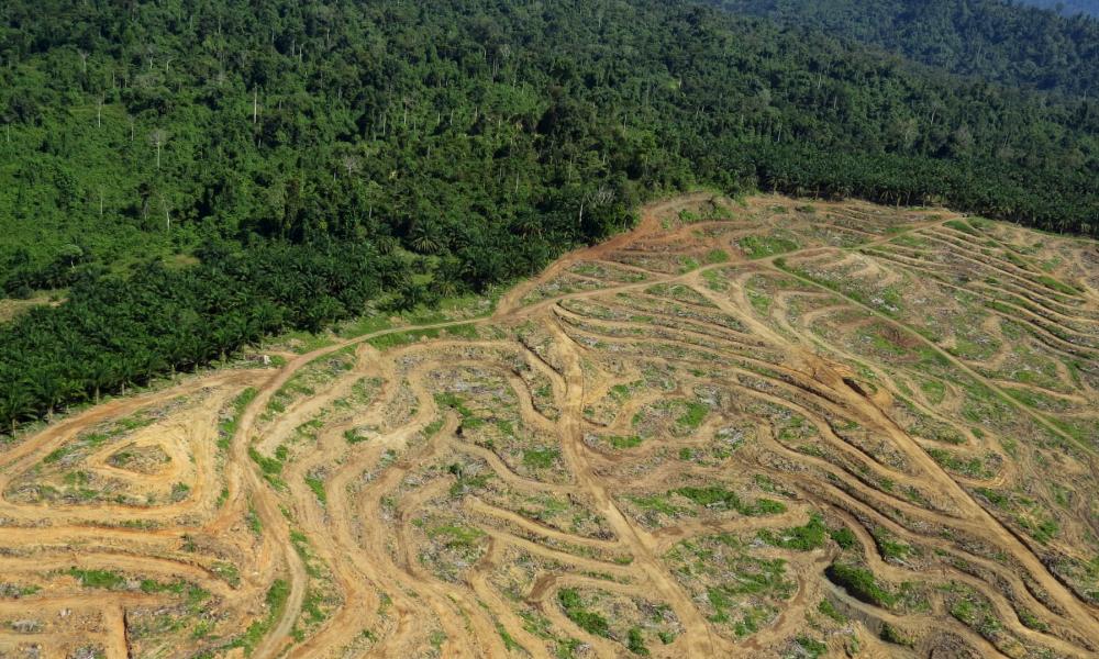 Habitat destruction