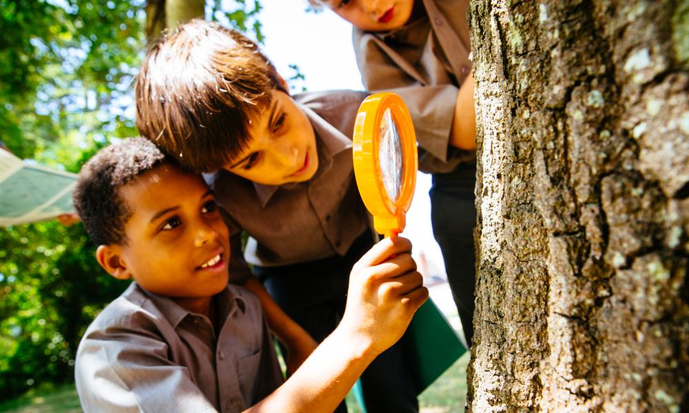 Our Planet citizen science pilot using the iNaturalist platform with students of St Andrews School, Horsell. Surrey, UK.