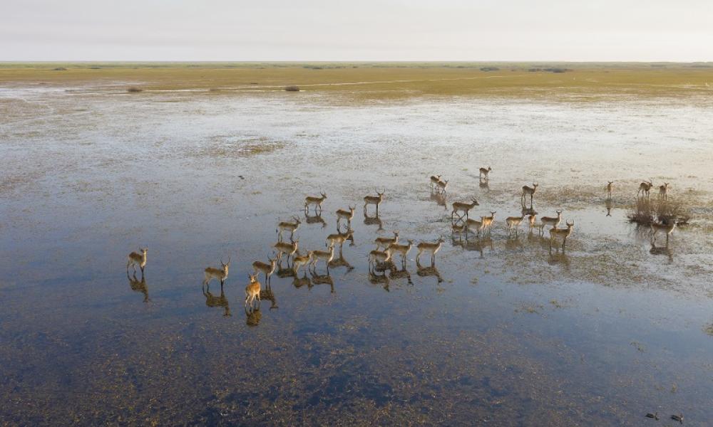 Zambia wetlands