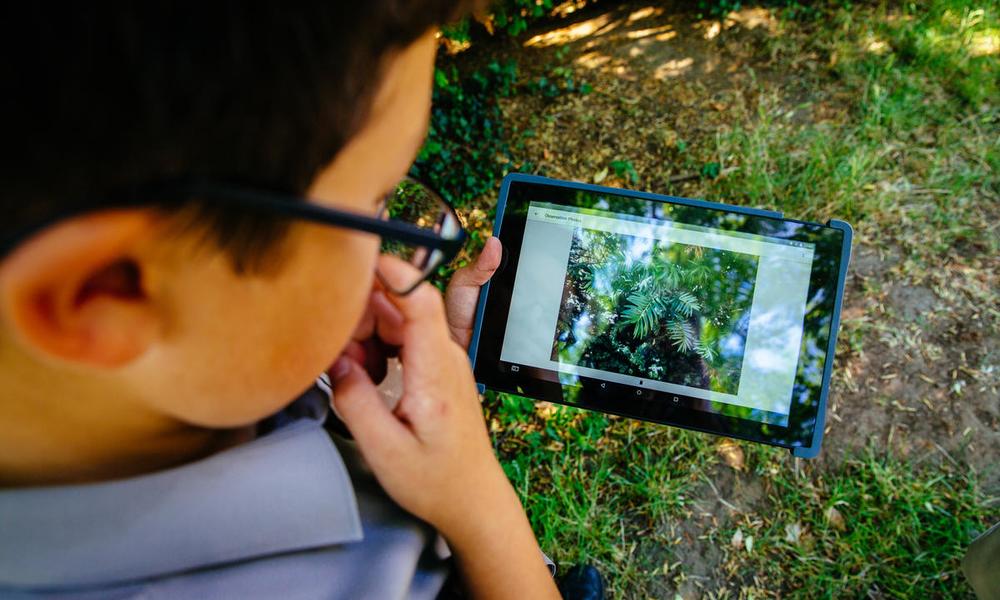 Our Planet citizen science pilot using the iNaturalist platform with students of St Andrews School
