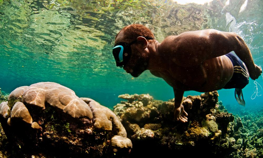 A local dives for trochus on Tetepare, Solomon Islands.