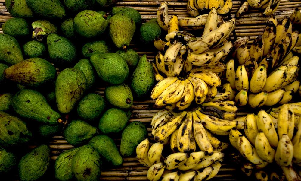 Bananas and avocados, which are grown near the Virunga National Park